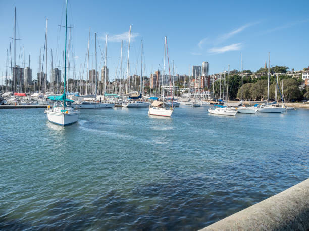 schiffe in rushcutters bay - rushcutters bay stock-fotos und bilder