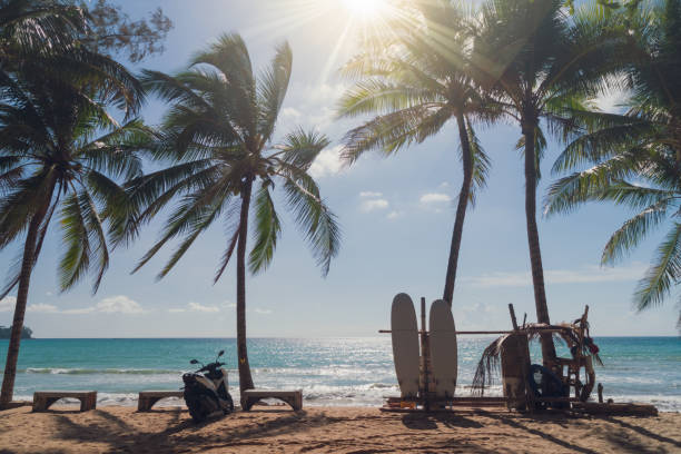 istock Surfboards beside coconut trees at summer beach with sun light. 1278714492