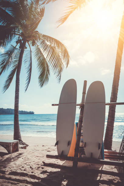 istock Surfboards beside coconut trees at summer beach with sun light. 1278714515
