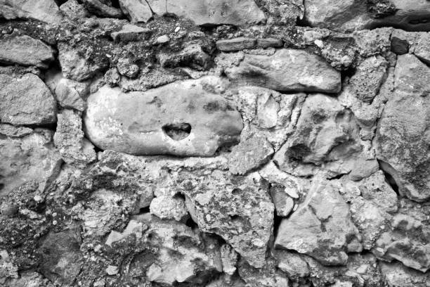 evocative black and white image of ancient wall texture