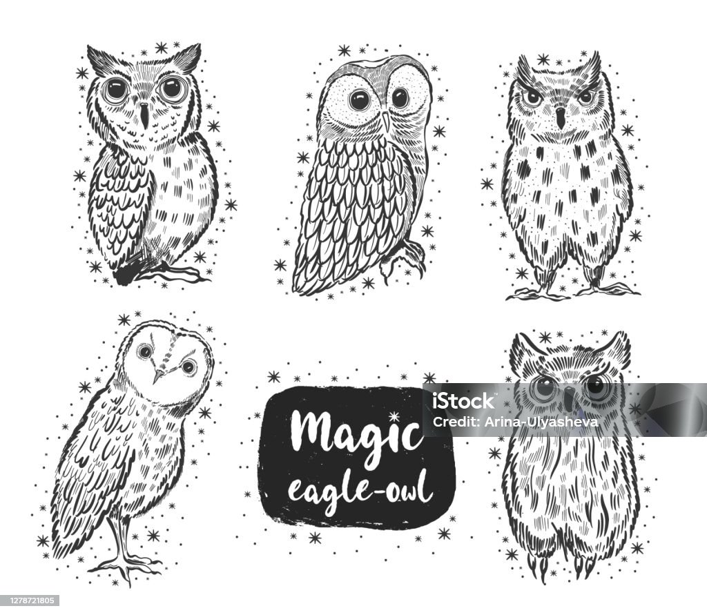 Owl Vẽ Tay Phác Thảo Con Chim Dễ Thương Hài Hước Bị Cô Lập Hình ...