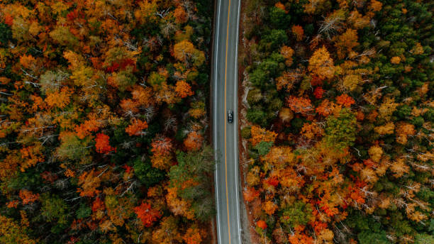 葉を持つ秋の山々の空中写真 - adirondack mountains ストックフォトと画像