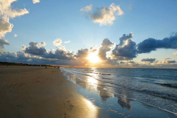 North sea beach near Renesse, Province Zeeland, Netherlands