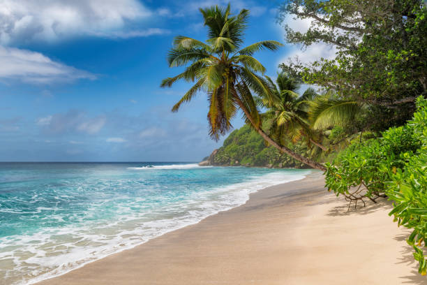 istock Paradise sunny beach and turquoise sea 1278725186
