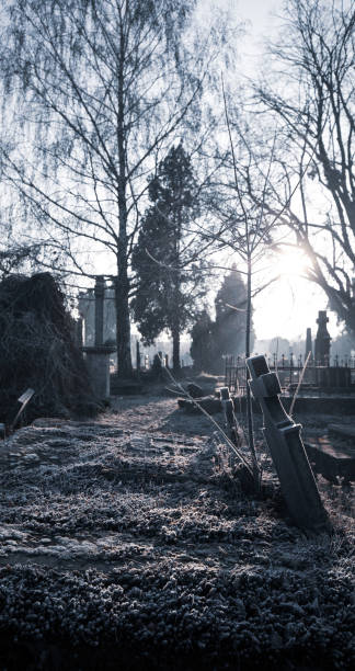 istock Old abandoned cemetery overgrown in grass, weed, plant, tree 1278726178
