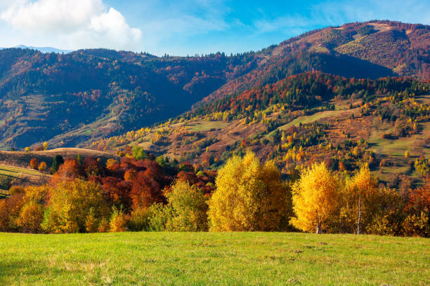 istock rural landscape in mountains 1278726449