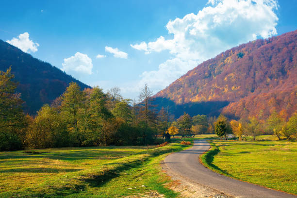 istock trees along the countryside valley 1278726458
