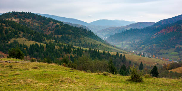 istock foggy morning in carpathian countryside 1278726471