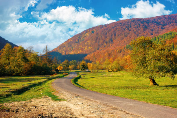 istock trees along the countryside valley 1278726510