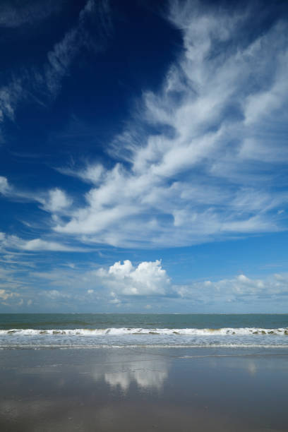 North sea beach near Renesse, Province Zeeland, Netherlands