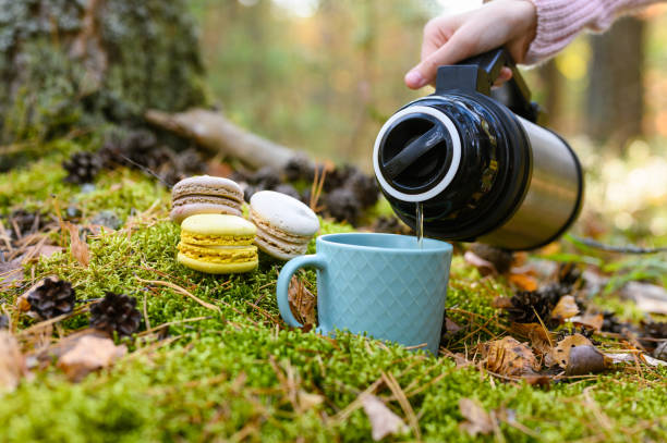 Tea drinking in the autumn forest.