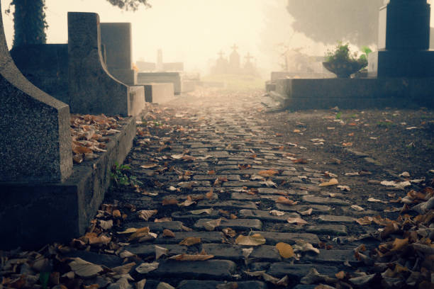 istock Peace, serenity or tranquility on cemetery graveyard brick path covered in leaves in autumn 1278728960