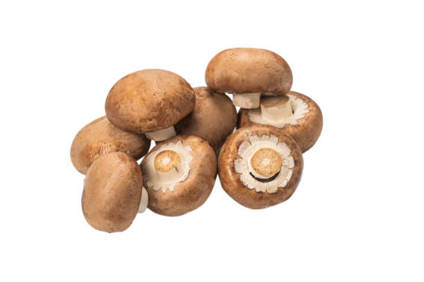 istock Tasty mushroom isolated on white background. 1278729138