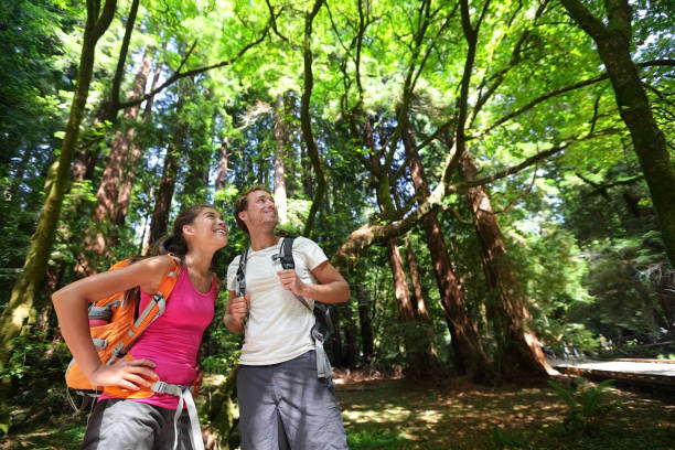 Mid adult man walking in park with sequoias