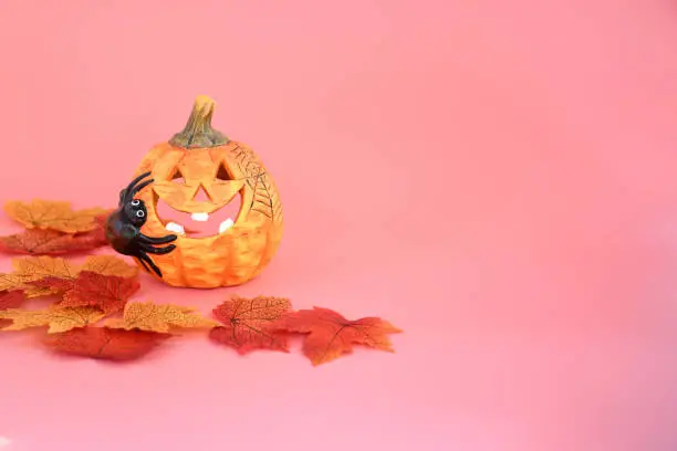 Halloween and automne background with pumpkin with big smile and colorful of autumn 'leaves  on  pink background and space for write text , decorate  or inviting halloween concept.