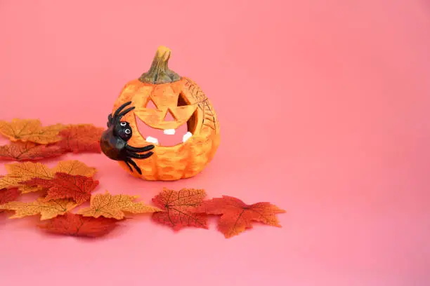 Halloween and automne background with pumpkin with big smile and colorful of autumn 'leaves  on  pink background and space for write text , decorate  or inviting halloween concept.