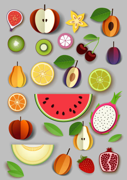 векторная бумага вырезала ремесленный стиль летних фруктов и ягод. - guava vegetable tropical climate fruit stock illustrations