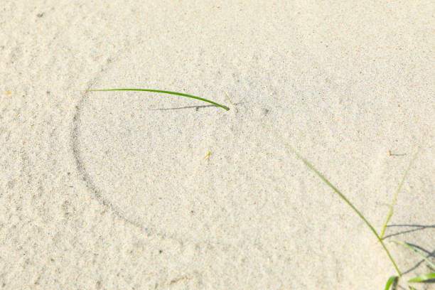 Natural pattern in the golden sand of a beach in Algarve, Portugal