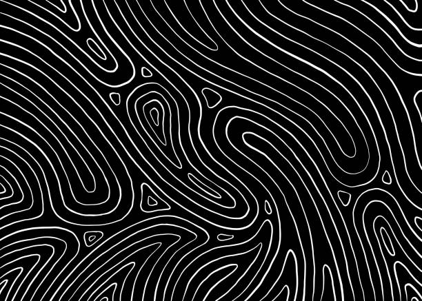 ilustrações de stock, clip art, desenhos animados e ícones de abstract wave lines. black and white line pattern. vector illustration for web, banner, poster, backdrop, background. - padrão natural