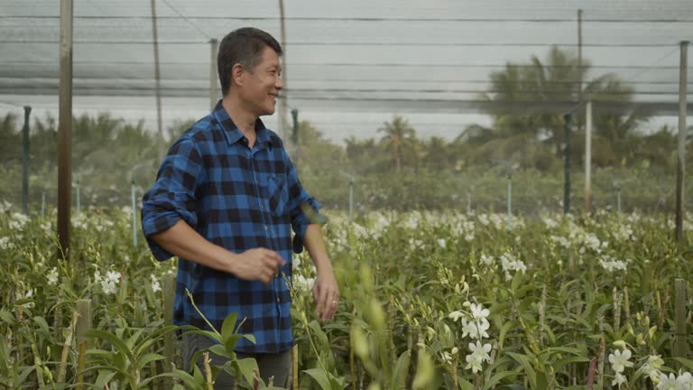 Woman gardener in orchids farm.