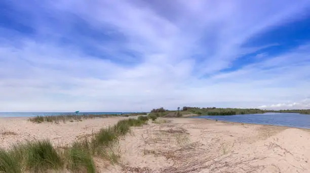 Photo of The “Litorale di Ugento” Regional Nature Park  in Apulia (Italy) boasts sandy beaches, stretches of water and woody areas, wetlands behind the dunes, marshes, areas of woodland and Mediterranean scrub.