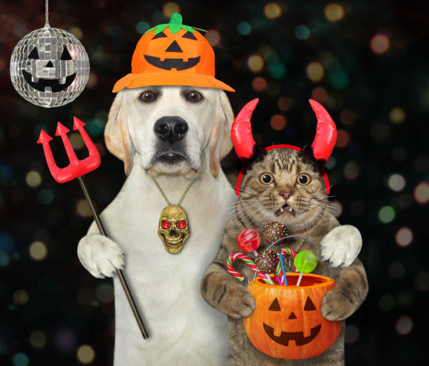 istock Dog hugs cat at party on halloween 1278751758