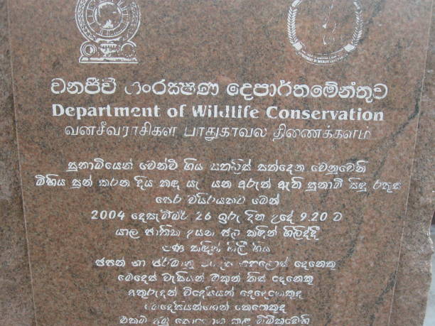 rzeźba fali pamięci tsunami w parku narodowym yala, sri lanka - monument tidal wave storm wave zdjęcia i obrazy z banku zdjęć