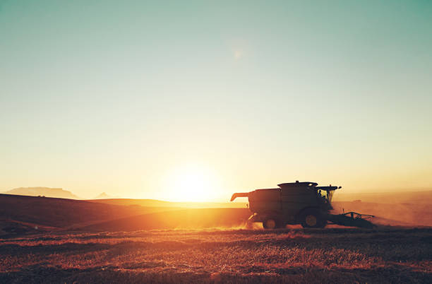 Shot of a combine harvester working in a field at sunset