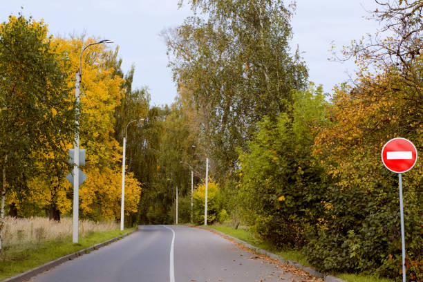 istock Empty road and autumn yellow trees on a sunny day 1278756347
