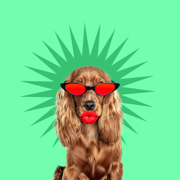 istock Modern design, contemporary art collage with cute doggies 1278758882