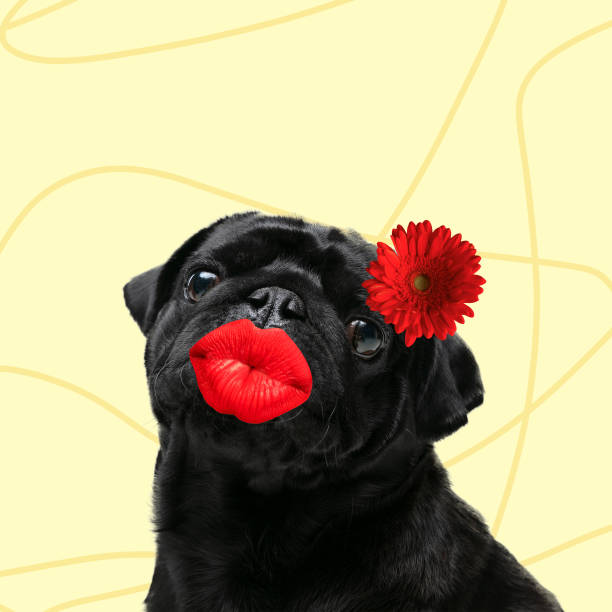 istock Modern design, contemporary art collage with cute doggies 1278758883