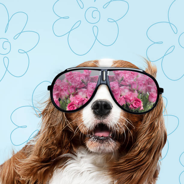 istock Modern design, contemporary art collage with cute doggies 1278758892