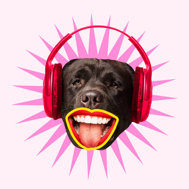 istock Modern design, contemporary art collage with cute doggies 1278758896