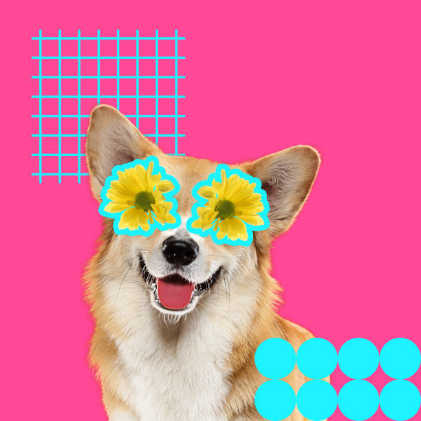 istock Modern design, contemporary art collage with cute doggies 1278758902
