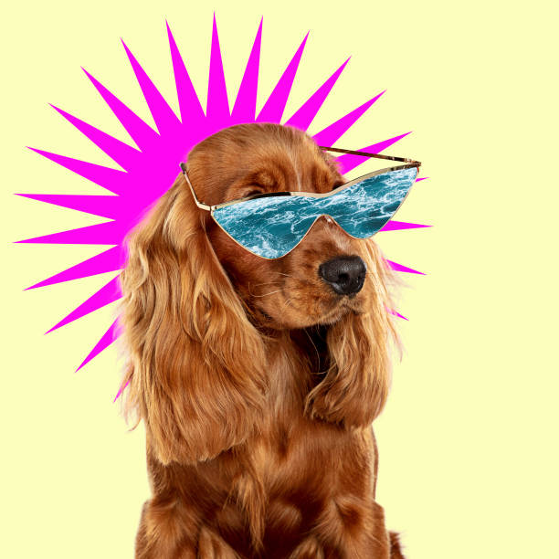 istock Modern design, contemporary art collage with cute doggies 1278758905