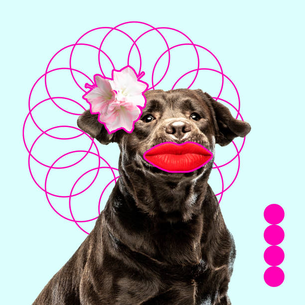 istock Modern design, contemporary art collage with cute doggies 1278758915