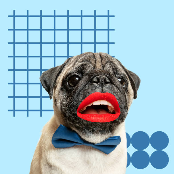 istock Modern design, contemporary art collage with cute doggies 1278758918