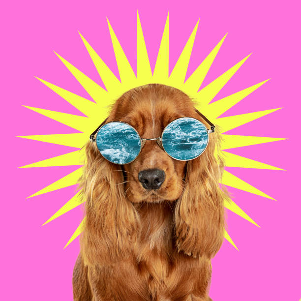 Modern design, contemporary art collage with cute doggies
