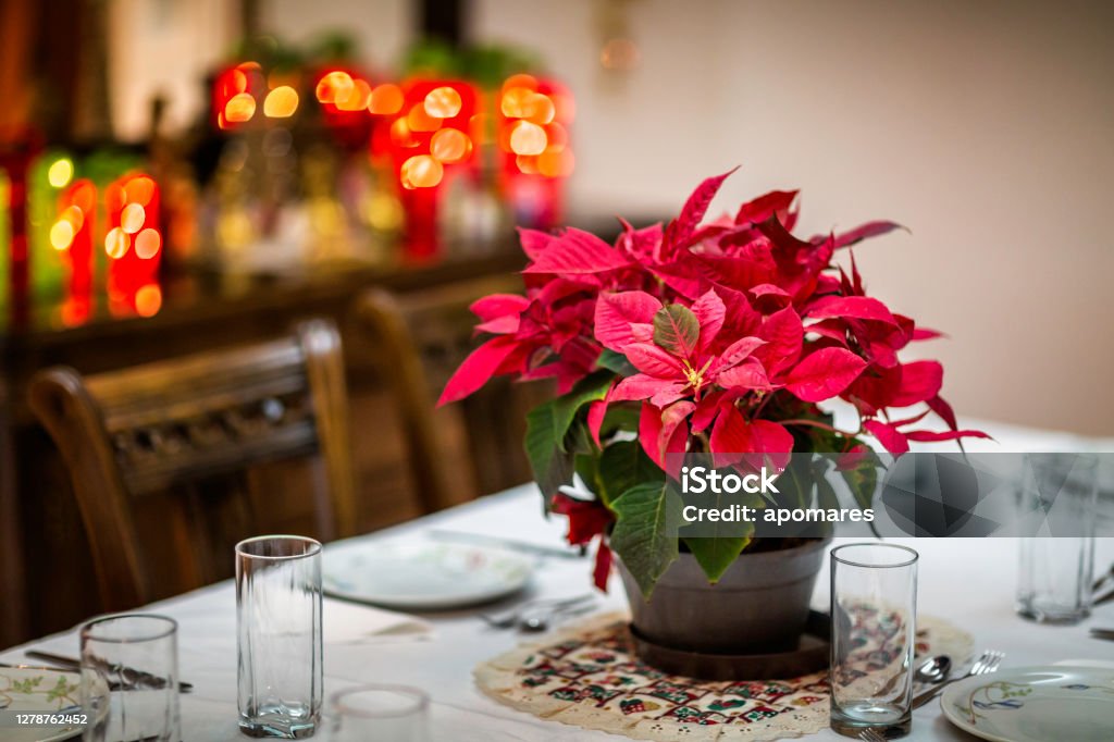 Table setting in preparation for a Holiday meal A table setting in preparation for a Holiday meal. Poinsettia Stock Photo