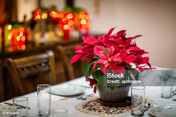 Table Setting In Preparation For A Holiday Meal Stock Photo - Download Image Now - Poinsettia, Christmas, Dinner