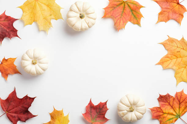 istock Autumn composition. Dried leaves and pumpkins on white background. Fall concept. Autumn background. Flat lay, top view, copy space 1278763265