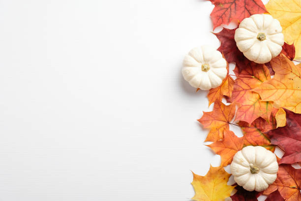 istock Autumn maple leaves and pumpkins on white background. Autumn frame border. Flat lay, top view, copy space. 1278763285