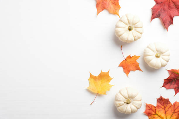 istock Autumn maple leaves and pumpkins on white background. Flat lay, minimal style composition. Top view. 1278763289