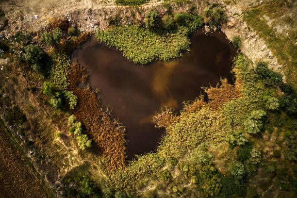 istock Heart-shaped pond, aerial view 1278763762