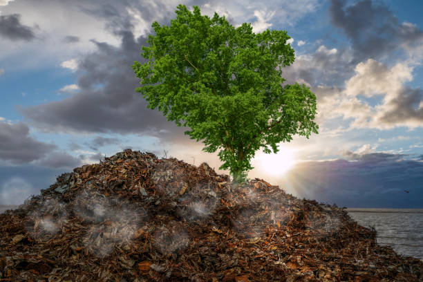 Garbage dump with scrap environmental destruction of nature
