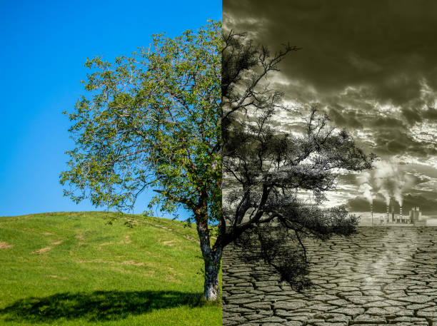 Destruction of the environment by industry