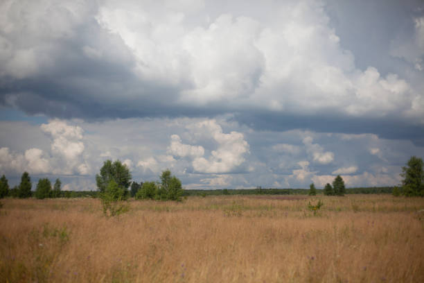 istock Field with clouds. Natural landscape on a summer day. 1278764920