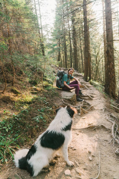 istock Woman hiking with dog in forest 1278771103