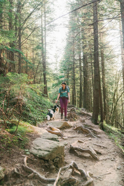istock Woman hiking with dog in forest 1278772280