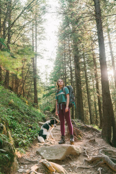 istock Woman hiking with dog in forest 1278772281
